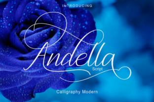 Andella Script Typeface Review for Modern Branding
