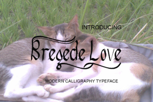 Bregede Love: A Modern Calligraphy Script Font for Brand Campaigns