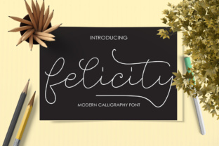 Felicity: A Calligraphic Script Font for Modern Web Design
