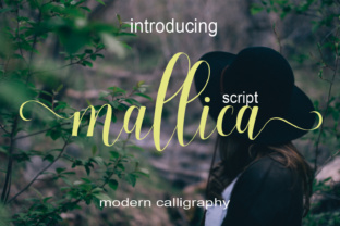 Mallica: A Handwritten Calligraphic Font for Modern Web Design