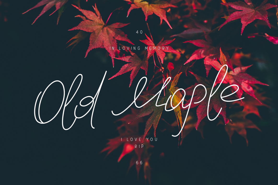 Old Maple: A Script Handwritten Font for Handmade Brands