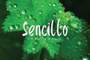 Sencillo: A Hand-Drawn Script Font for Modern Web Design
