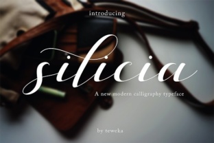 Silicia: A Fresh Script Handwritten Font for Editorial Design