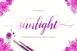 Sunlight: A Modern Script Font for Scroll-Stopping Social Media Graphics