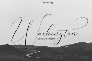 Washington Typeface for Elegant Brand Identity